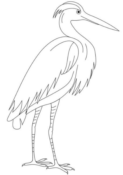 Цапля рисунок