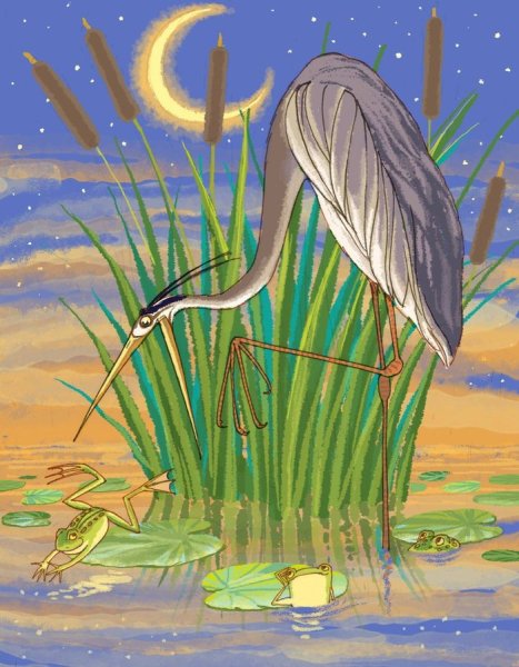 Цапля карандашом