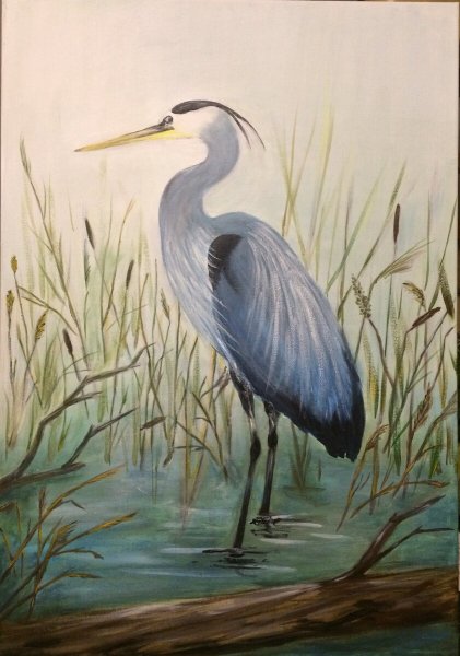 Аист раскраска