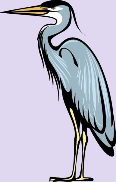 Цапля рисунок