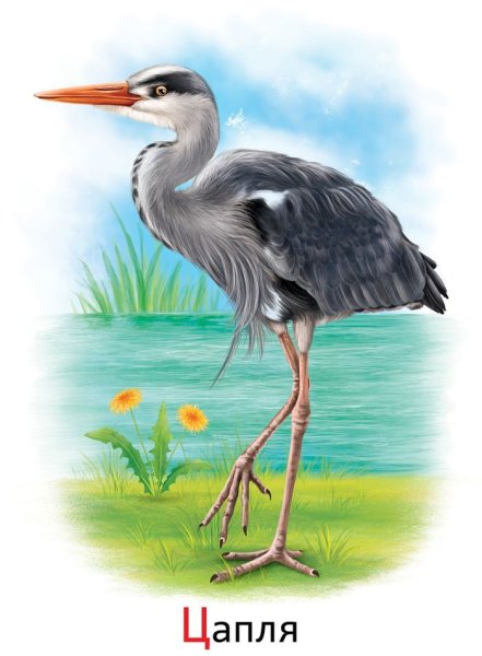 Цапля мультик
