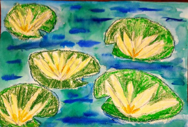 Рисование в подготовительной группе кувшинка