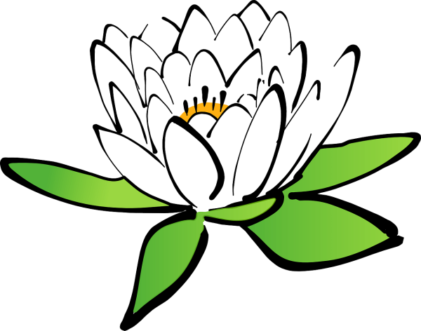 Кувшинка рисунок