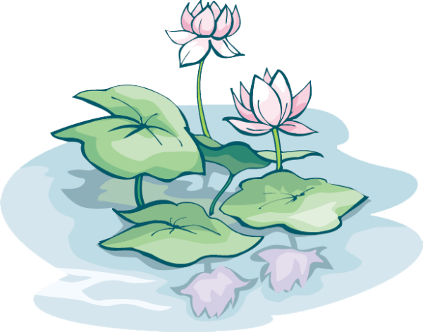 Кувшинки на воде вектор