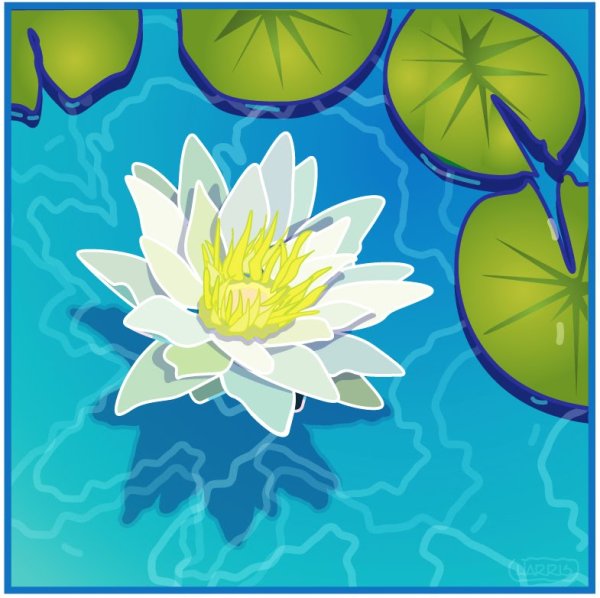 Рисование кувшинки