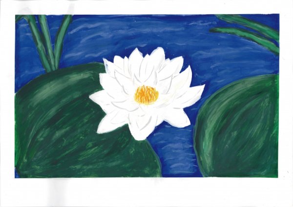 Кувшинка нарисовать ребенку