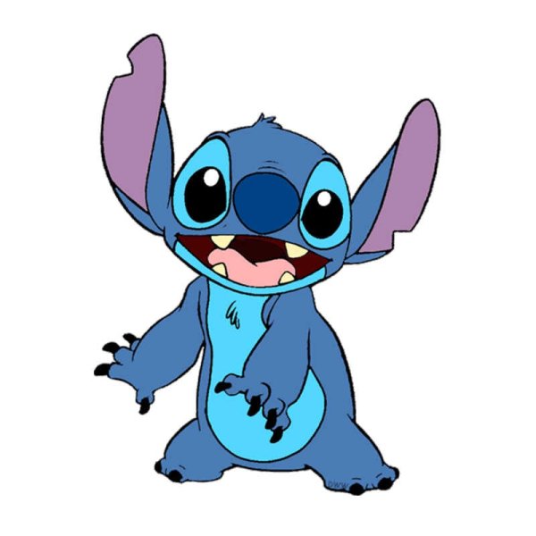 Стич вектор