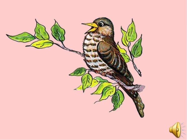 Изображение кукушки для детей