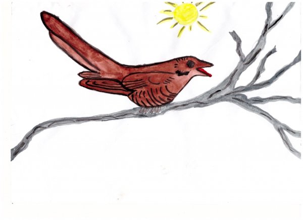 Рисование кукушки