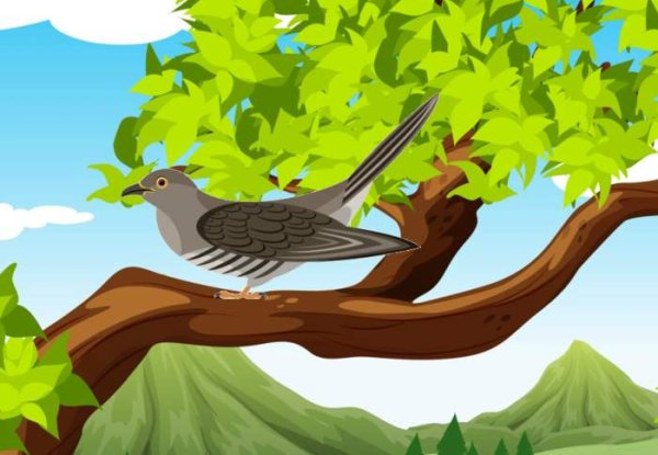 Мультяшные птицы