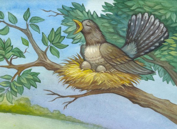 Иллюстрирование птиц для детей