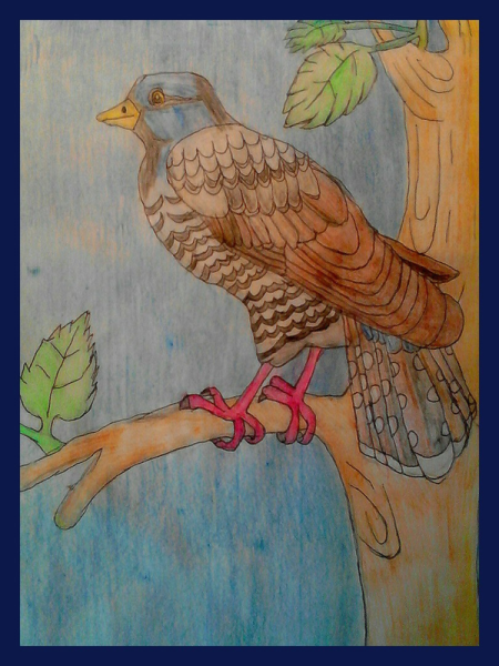 Кукушка карандашом