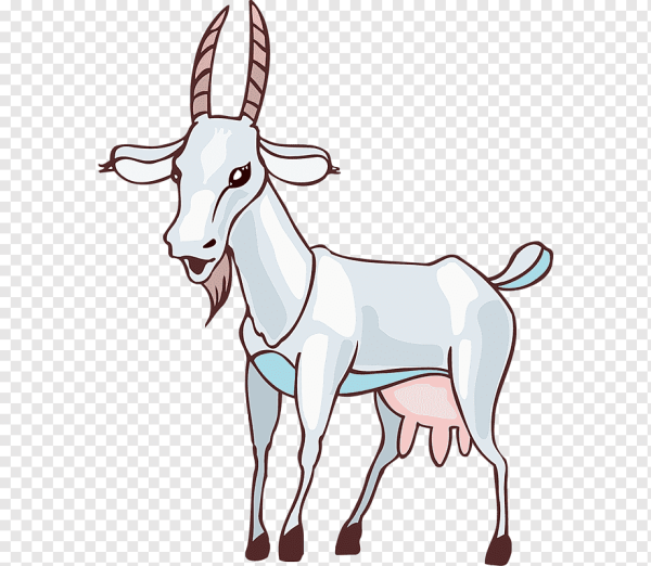 Коза рисунок