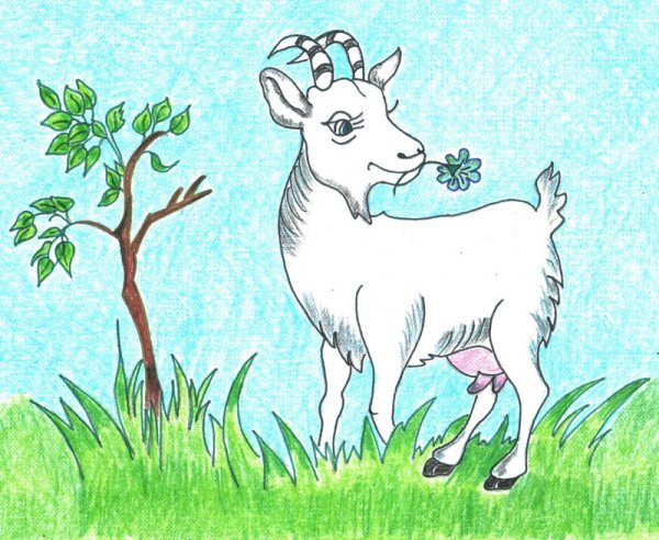 Козочка для детей