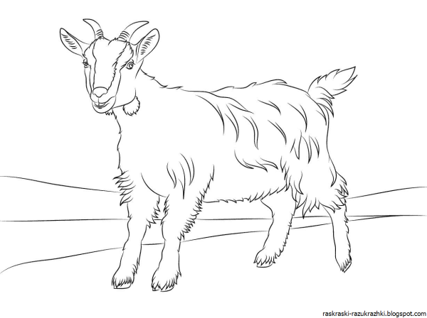 Коза раскраска для детей