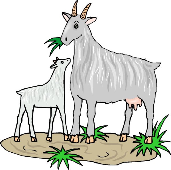 Мультяшные козы