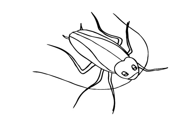 Раскраска Тараканище Чуковского