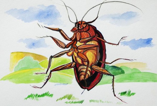 Таракан мультяшный