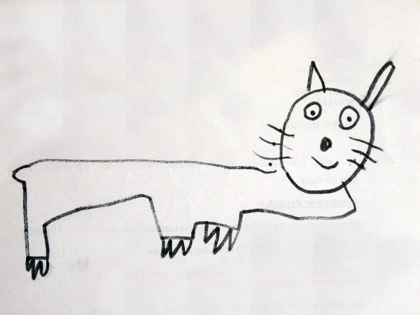 Криво нарисованный кот