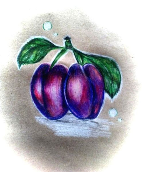 Слива карандашом