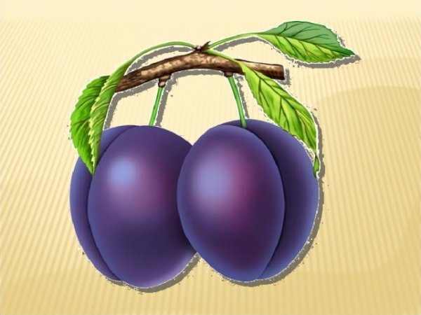Две сливы