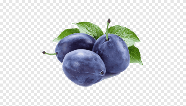 Слива на белом фоне