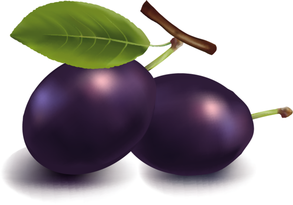 Слива мультяшная