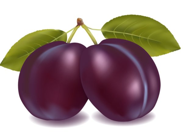 Фрукты для детей слива