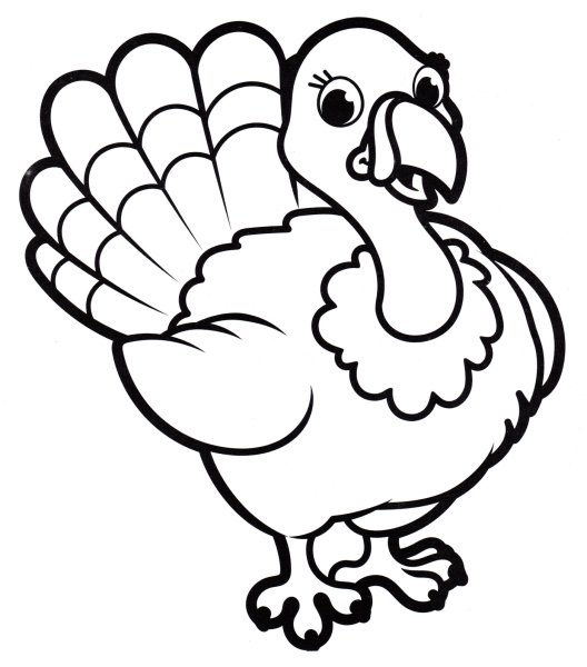 Индюк индюшка индюшонок раскраска