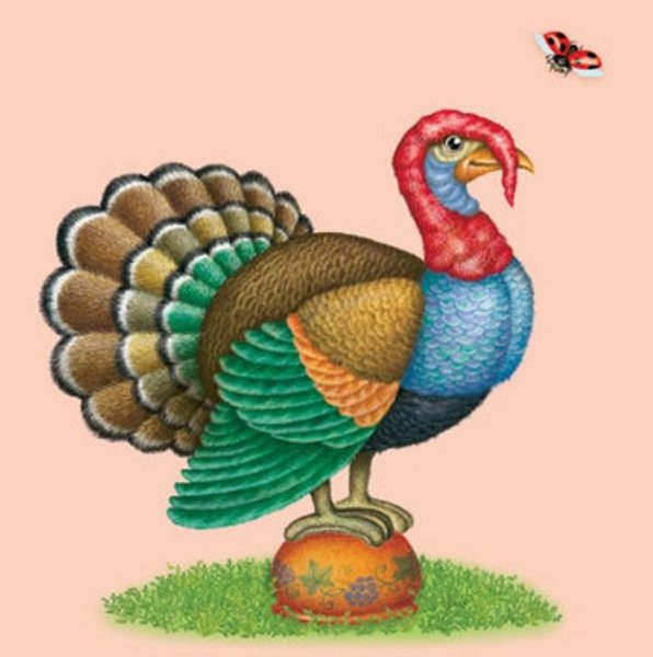 Индюк, индюшка, индюшонок для дошкольников