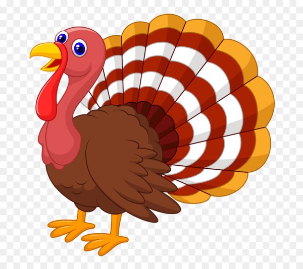 Индюк индюшка индюшонок раскраска для детей