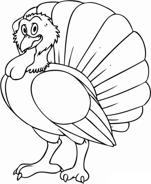 Turkey индюк for Kids