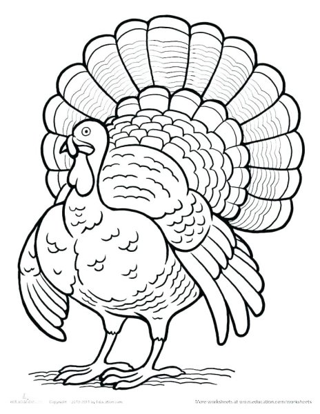 Индюк трафарет