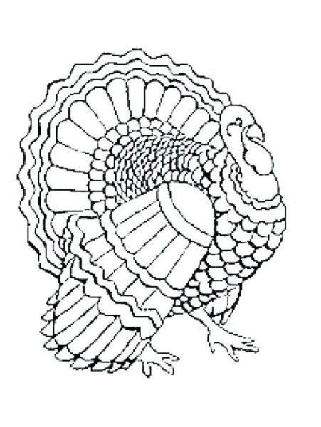 Рисование индюка