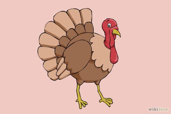 Индюшка для срисовки