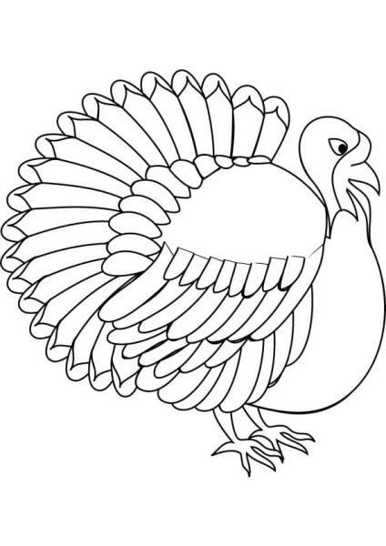 Рисование индюка