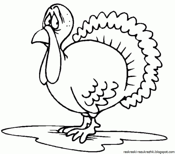 Индюк вектор