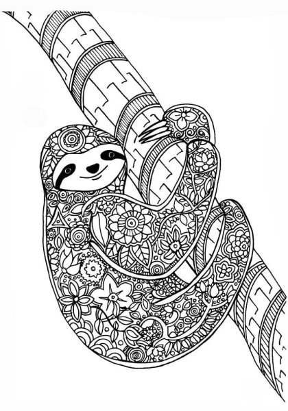 Ленивец раскраска