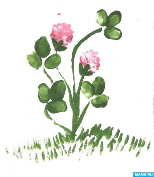 Клевер рисунок для детей