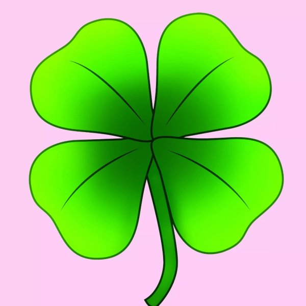 Клевер рисовать