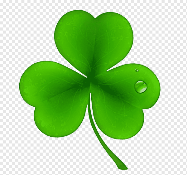 Ирландия Клевер четырехлистный