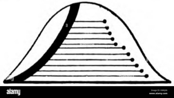 Гусли для раскрашивания