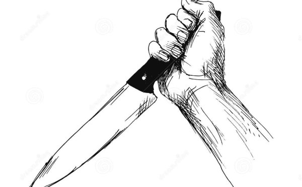 Животных убивают ради меха