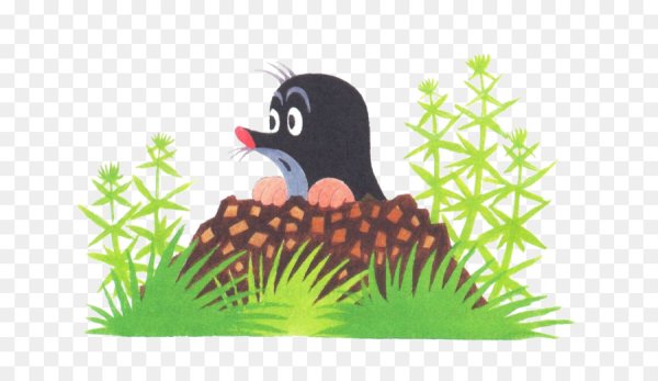 Крот для детей