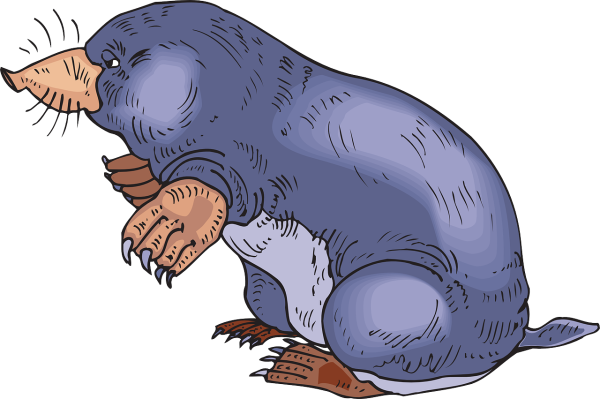 Крот на белом фоне