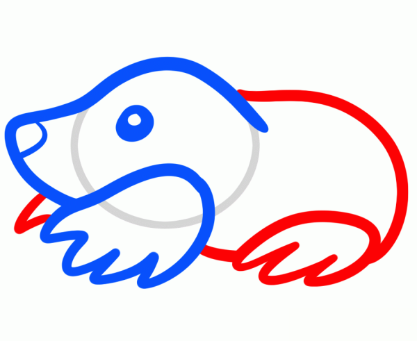 Крот поэтапное рисование