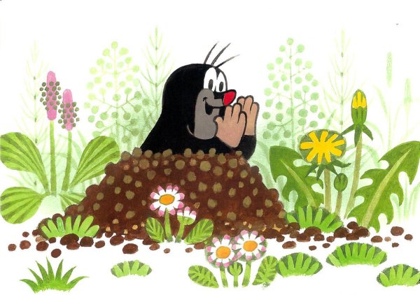 Крот раскраска для детей