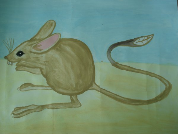 Нарисовать тушканчика