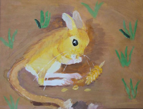 Тушканчик гуашью