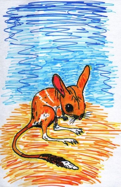 Детский рисунок тушканчика